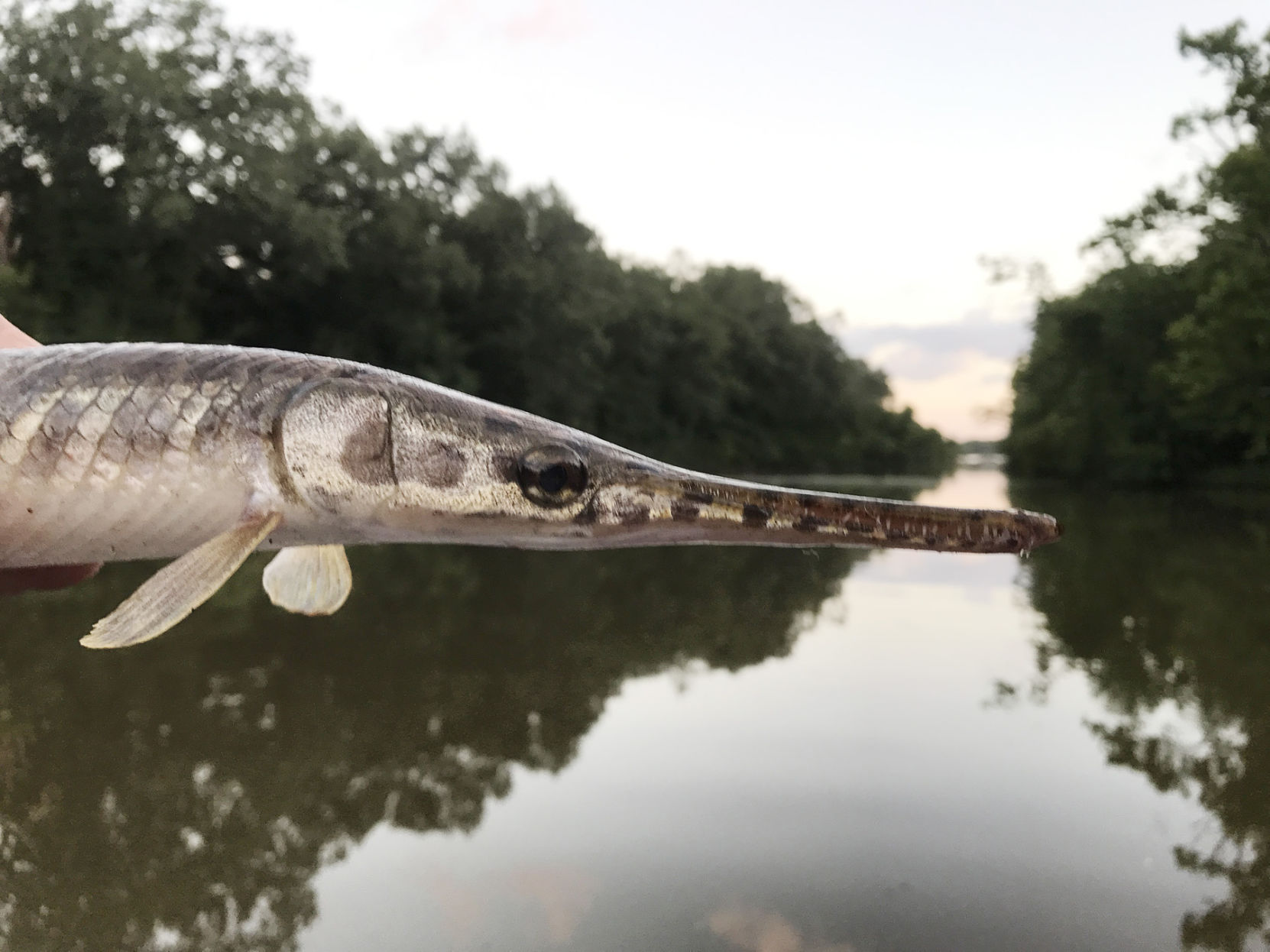 Pond Hookup Online In Fish The Pond Hookup Online In Fish The